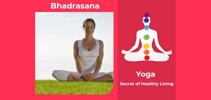 How to do Bhadrasana, Its Benefits & Precautions