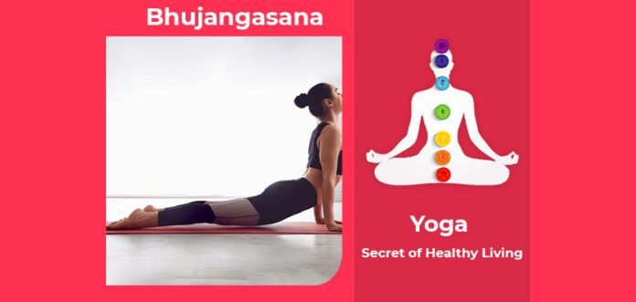 How to do Bhujangasana, Its Benefits & Precautions