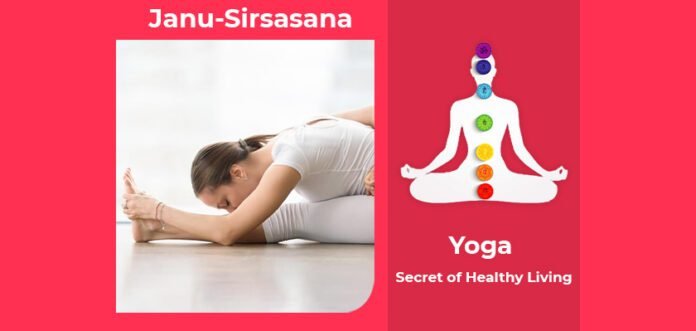 How to do Janu Sirsasana, Its Benefits & Precautions