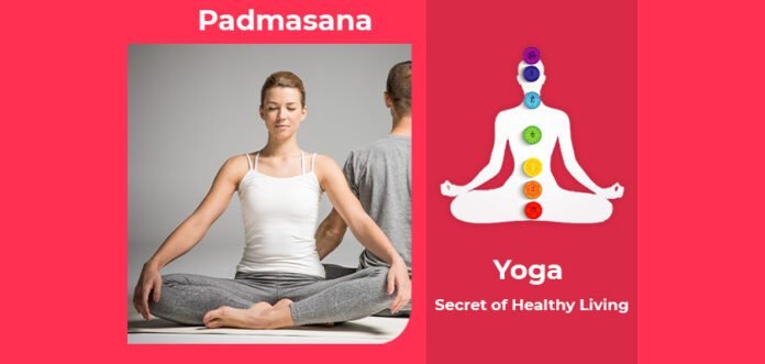 How to do Padmasana, Its Benefits & Precautions