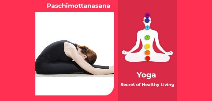 How to do Paschimottanasana, Its Benefits & Precautions