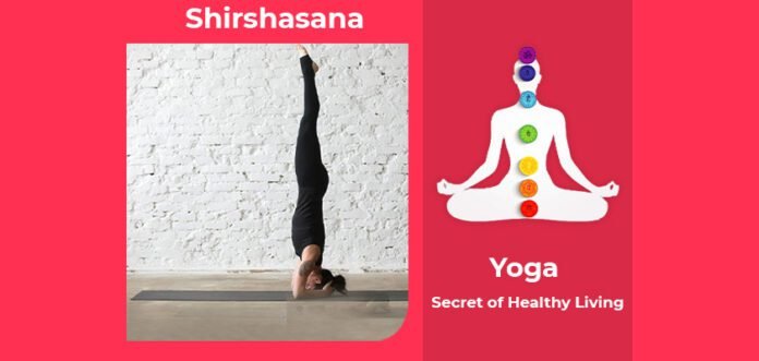 How to do Shirshasana, Its Benefits & Precautions