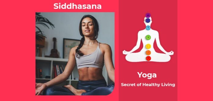 How to do Siddhasana, Its Benefits & Precautions