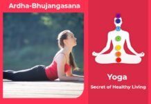 How to do Ardha Bhujangasana, Its Benefits & Precautions