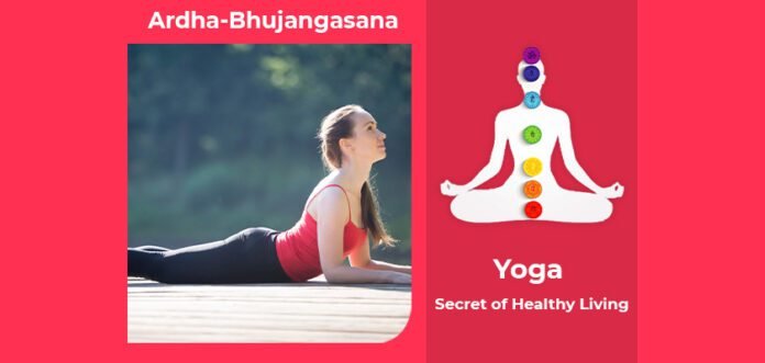 How to do Ardha Bhujangasana, Its Benefits & Precautions