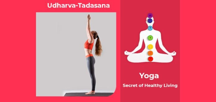 How to do Udharva Tadasana, Its Benefits & Precautions