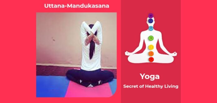 How to do Uttana Mandukasana, Its Benefits & Precautions