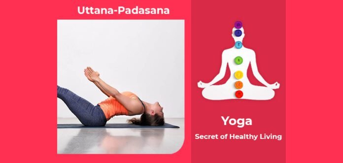 How to do Uttana Padasana, Its Benefits & Precautions
