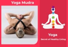 How to do Yoga Mudra, Its Benefits & Precautions