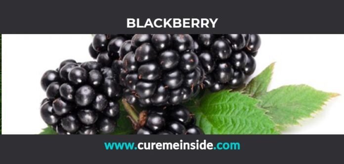 Blackberry: Health Benefits, Side Effects, Uses, Dosage, Interactions
