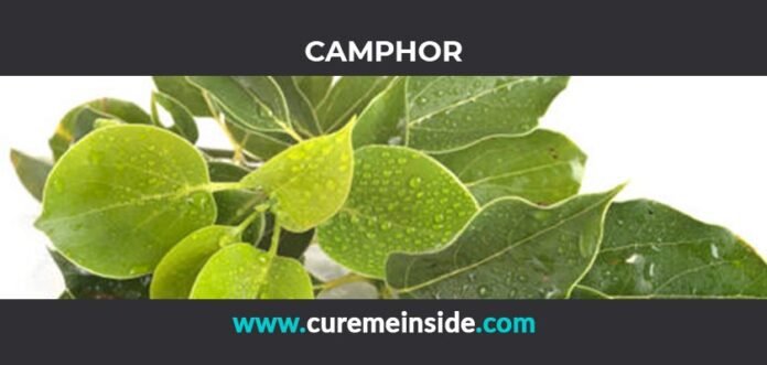 Camphor: Health Benefits, Side Effects, Uses, Dosage, Interactions