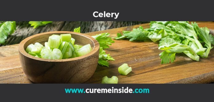 Celery: Health Benefits, Side Effects, Uses, Dosage, Interactions