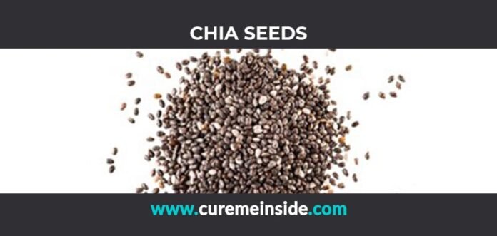 Chia Seeds: Health Benefits, Side Effects, Uses, Dosage, Interactions