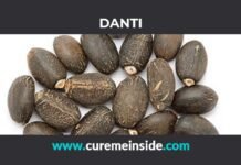 Danti: Health Benefits, Side Effects, Uses, Dosage, Interactions