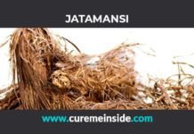 Jatamansi: Health Benefits, Side Effects, Uses, Dosage, Interactions