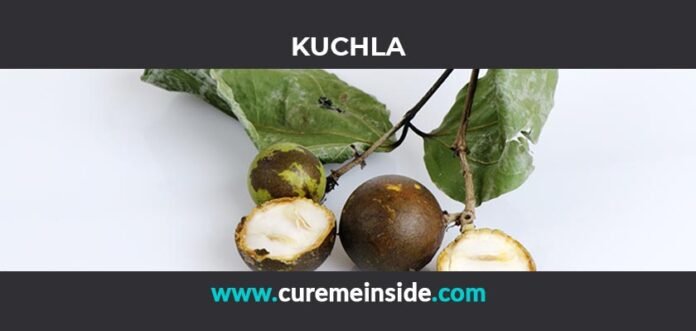 Kuchla: Health Benefits, Side Effects, Uses, Dosage, Interactions