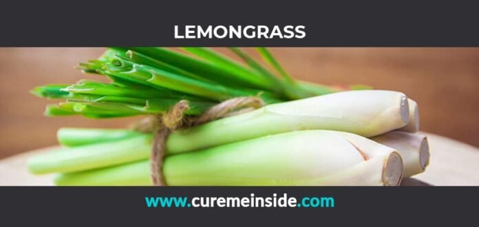 Lemongrass: Health Benefits, Side Effects, Uses, Dosage, Interactions