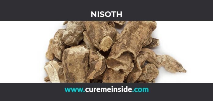 Nisoth: Health Benefits, Side Effects, Uses, Dosage, Interactions