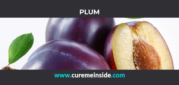 Plum: Health Benefits, Side Effects, Uses, Dosage, Interactions