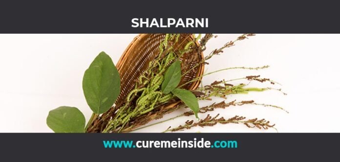 Shalparni: Health Benefits, Side Effects, Uses, Dosage, Interactions