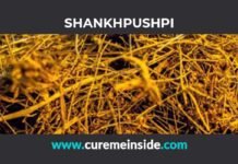 Shankhpushpi: Health Benefits, Side Effects, Uses, Dosage, Interactions