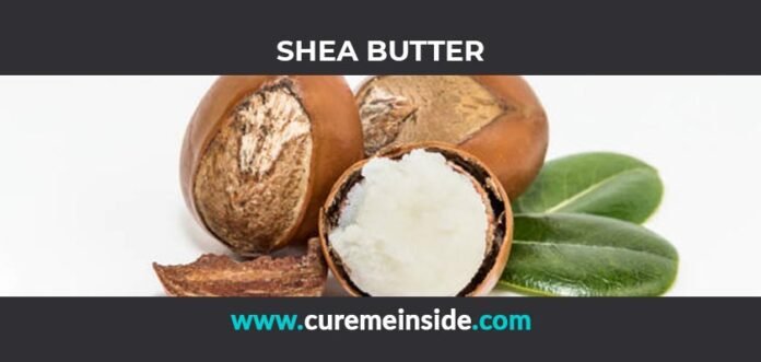 Shea Butter: Health Benefits, Side Effects, Uses, Dosage, Interactions