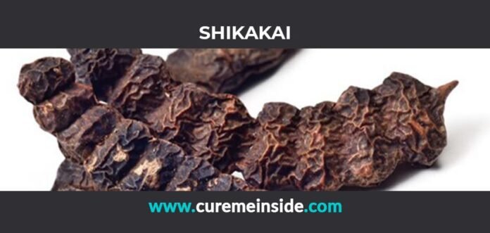 Shikakai: Health Benefits, Side Effects, Uses, Dosage, Interactions