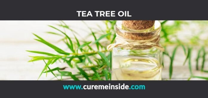 Tea Tree Oil: Health Benefits, Side Effects, Uses, Dosage, Interactions