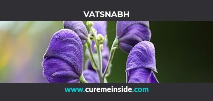 Vatsnabh: Health Benefits, Side Effects, Uses, Dosage, Interactions