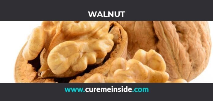 Walnut: Health Benefits, Side Effects, Uses, Dosage, Interactions
